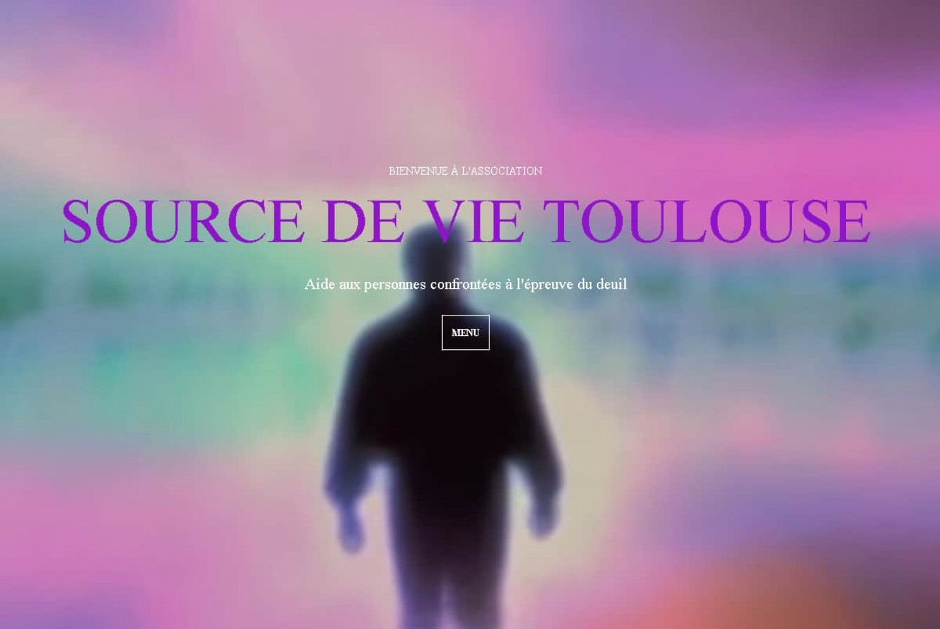 Association source de vie toulouse